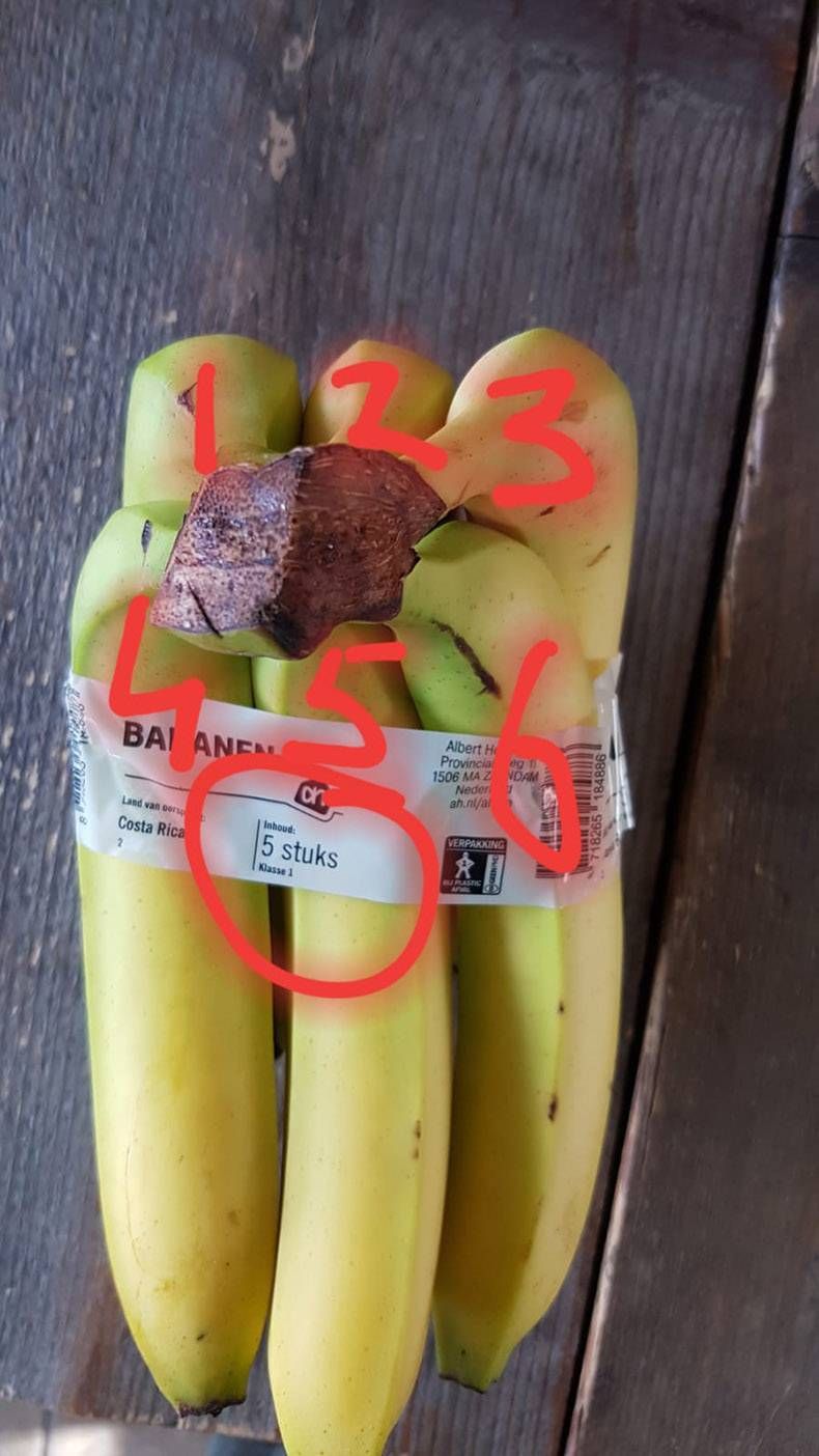 Gewoon een verzameling hilarische foto's #1205