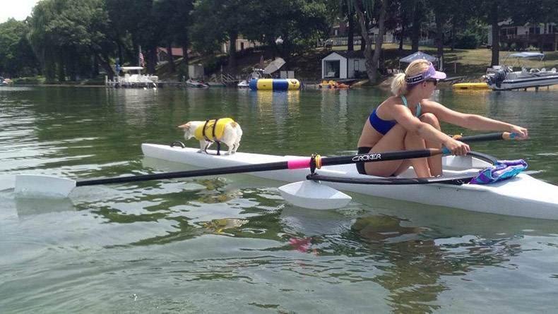 Gewoon een verzameling hilarische foto's #1159