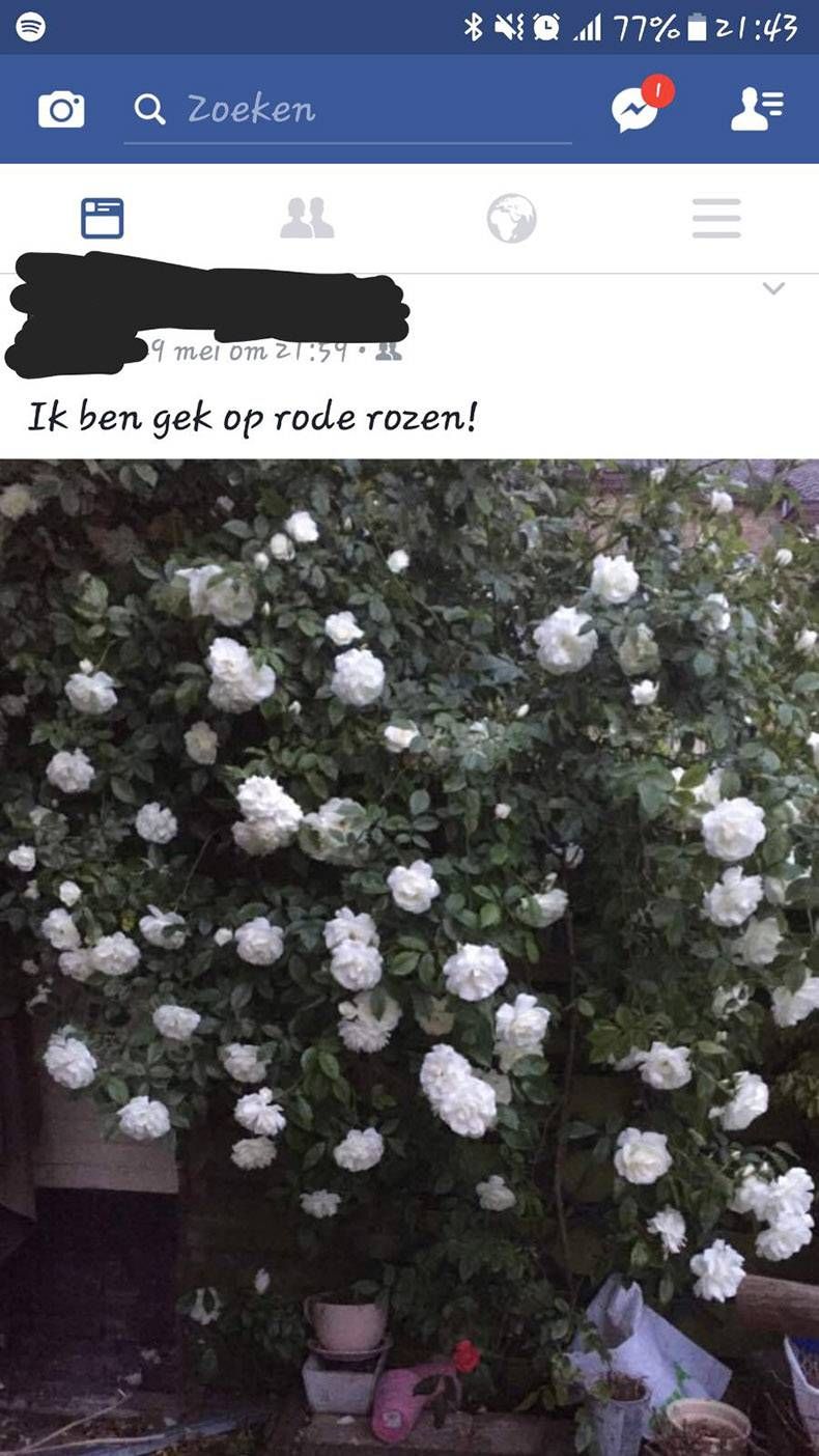 Gewoon een verzameling hilarische foto's #823