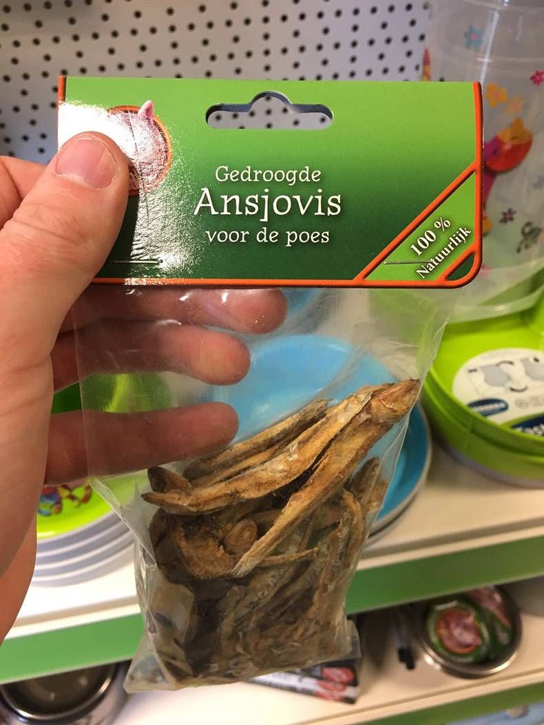 Gewoon een verzameling hilarische foto's #778