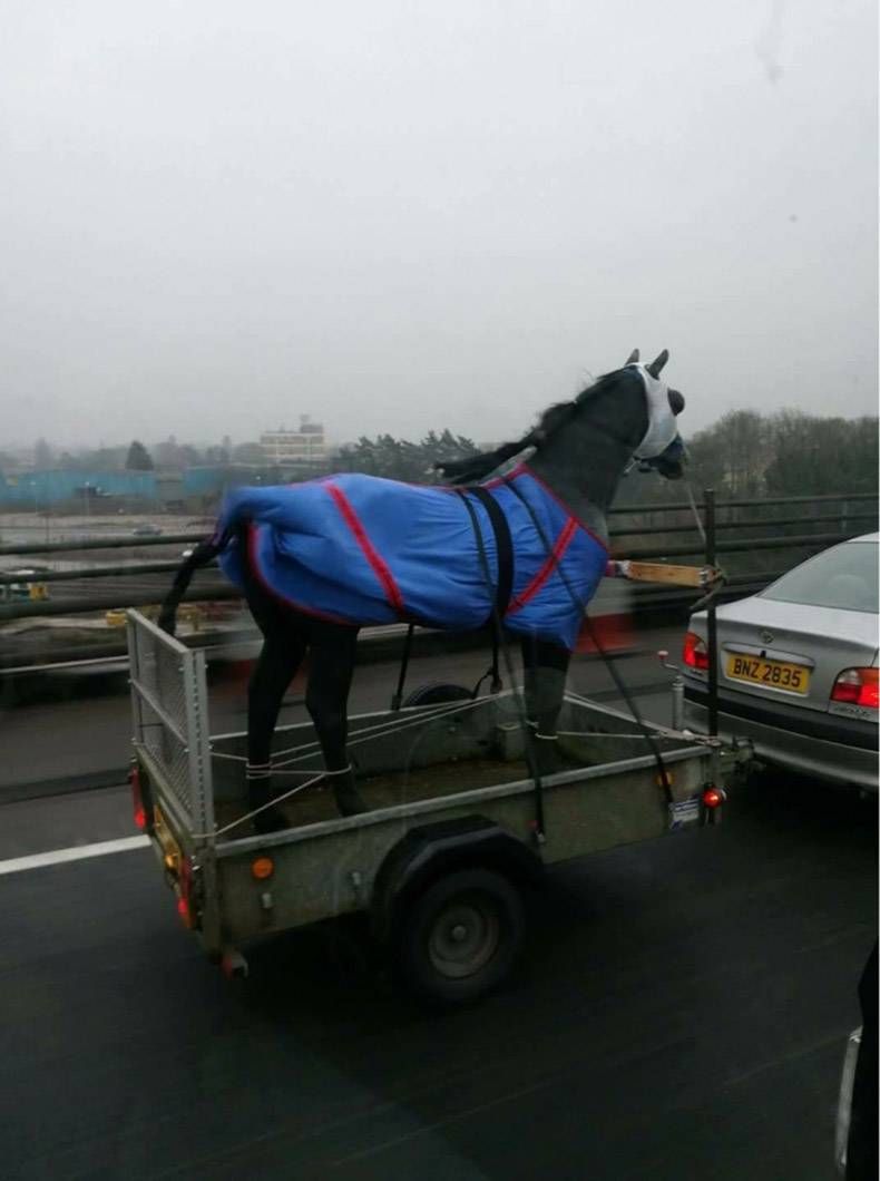 Gewoon een verzameling hilarische foto's #776