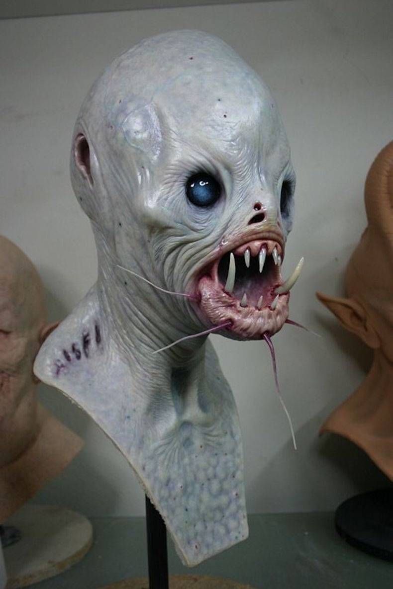 Gewoon een verzameling hilarische foto's #745