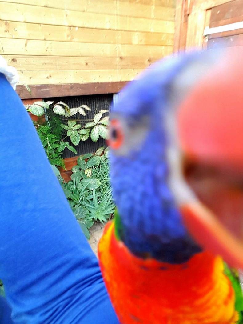 Gewoon een verzameling hilarische foto's #725