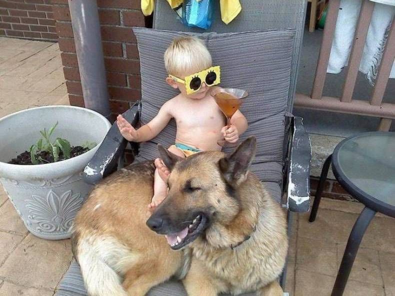 Gewoon een verzameling hilarische foto's #1255