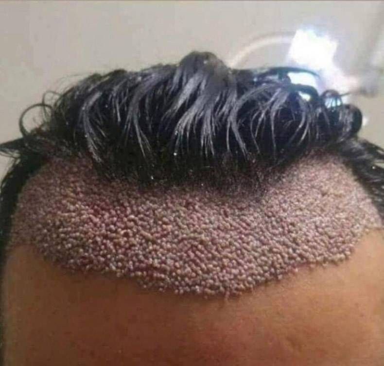 Gewoon een verzameling hilarische foto's #1251