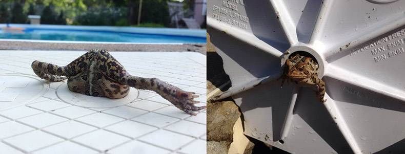 Gewoon een verzameling hilarische foto's #1159