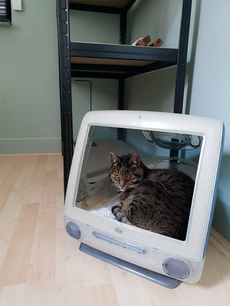 Gewoon een verzameling hilarische foto's #1127