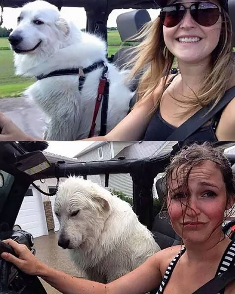 Gewoon een verzameling hilarische foto's #1094