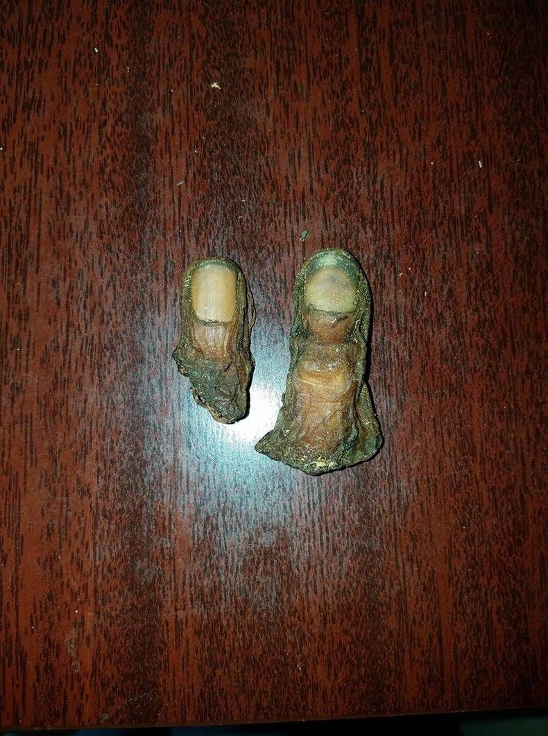 Gewoon een verzameling hilarische foto's #874