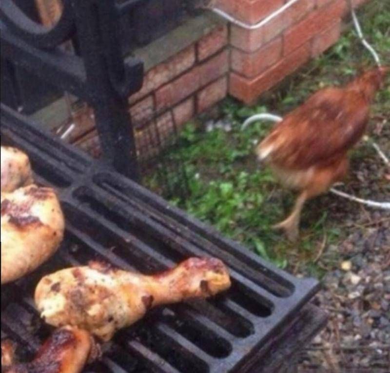 Gewoon een verzameling hilarische foto’s #1107