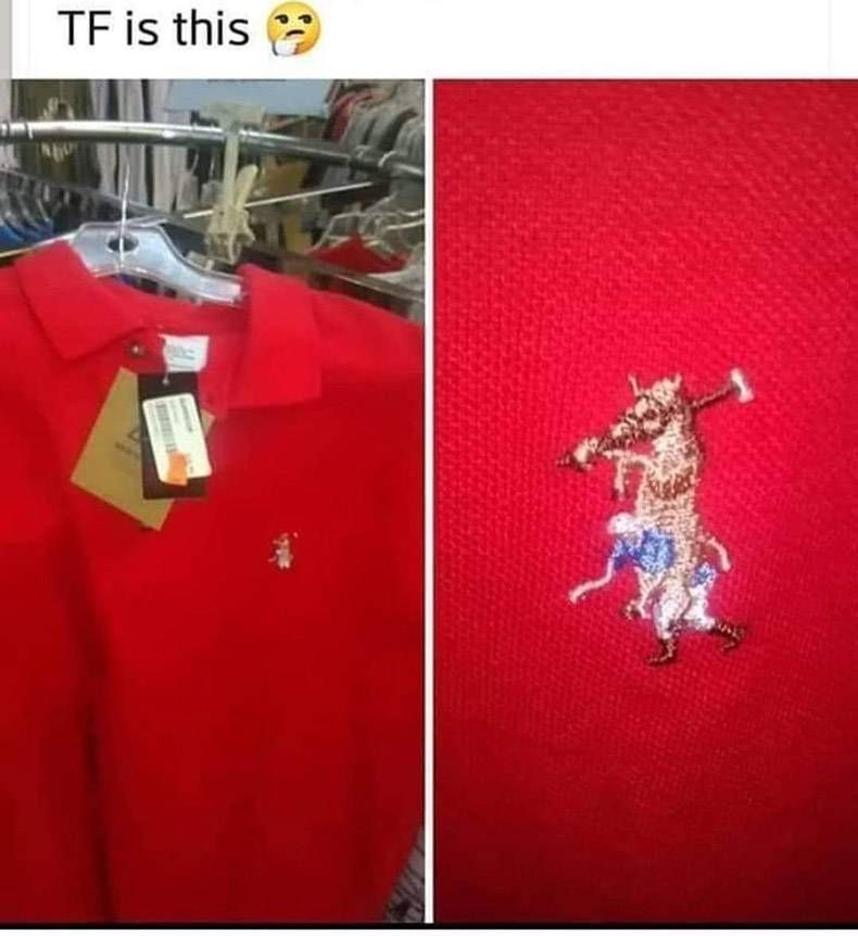 Gewoon een verzameling hilarische foto's #1205