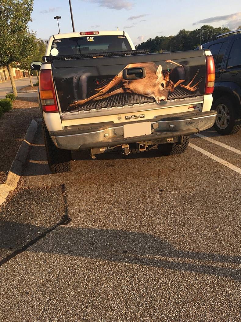 Gewoon een verzameling hilarische foto’s #858