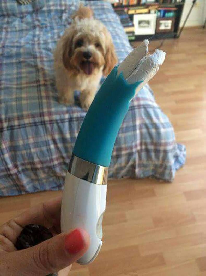 Gewoon een verzameling hilarische foto's #759