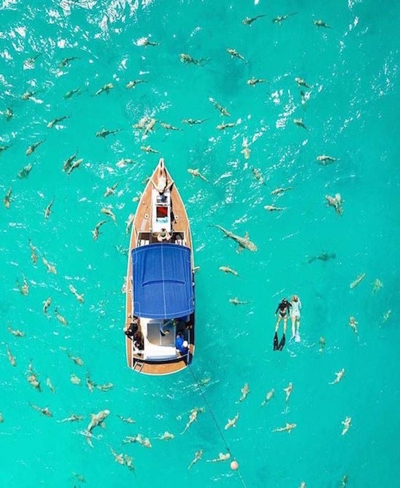 Gewoon een verzameling hilarische foto's #747