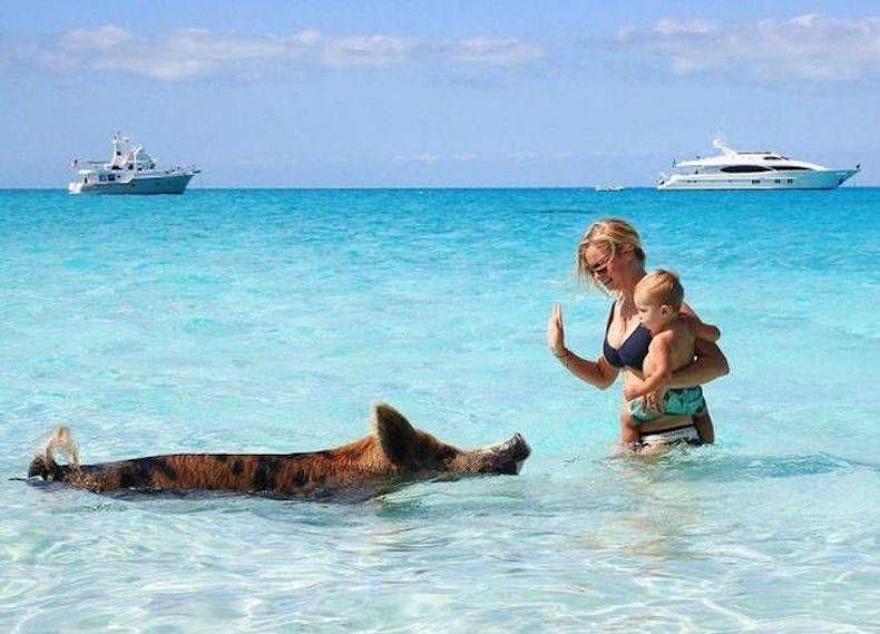 Gewoon een verzameling hilarische foto's #745