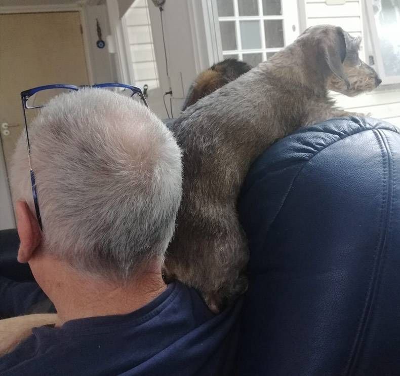 Gewoon een verzameling hilarische foto's #1262