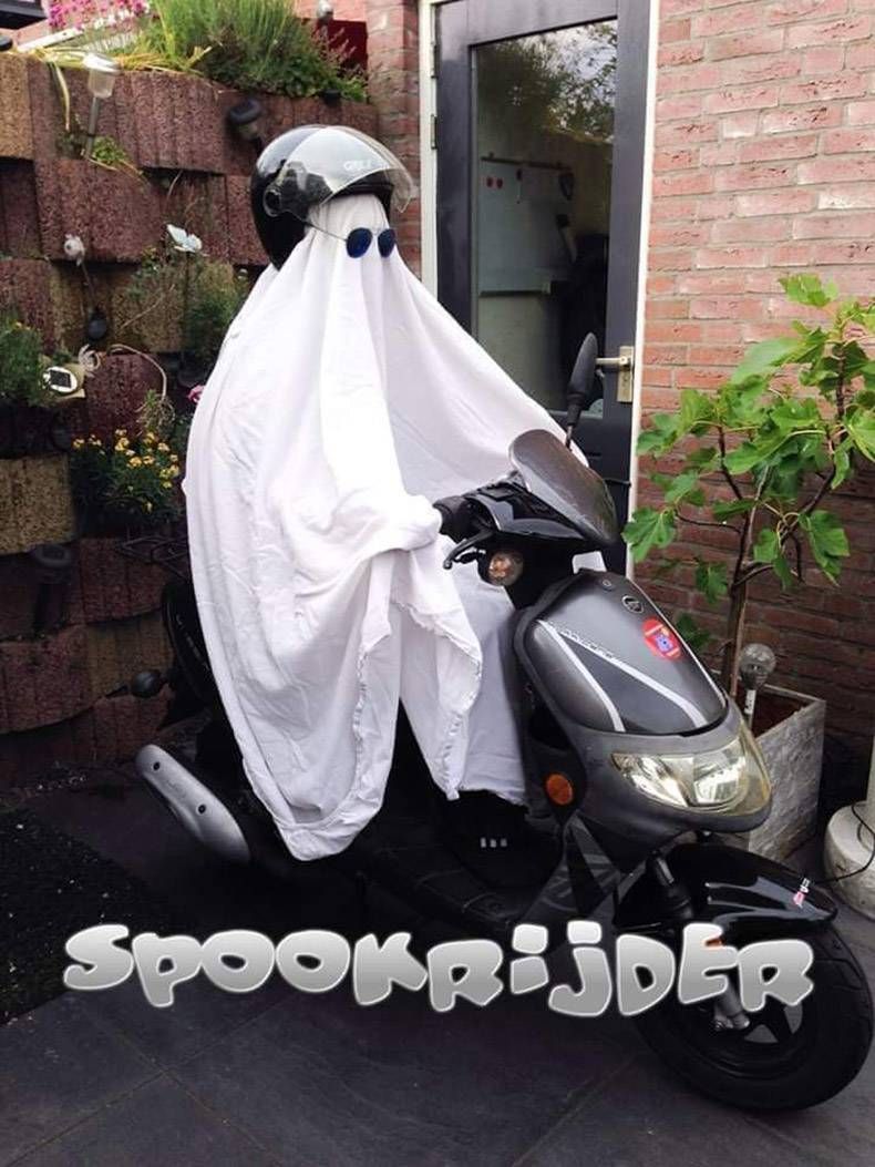 Gewoon een verzameling hilarische foto's #1251