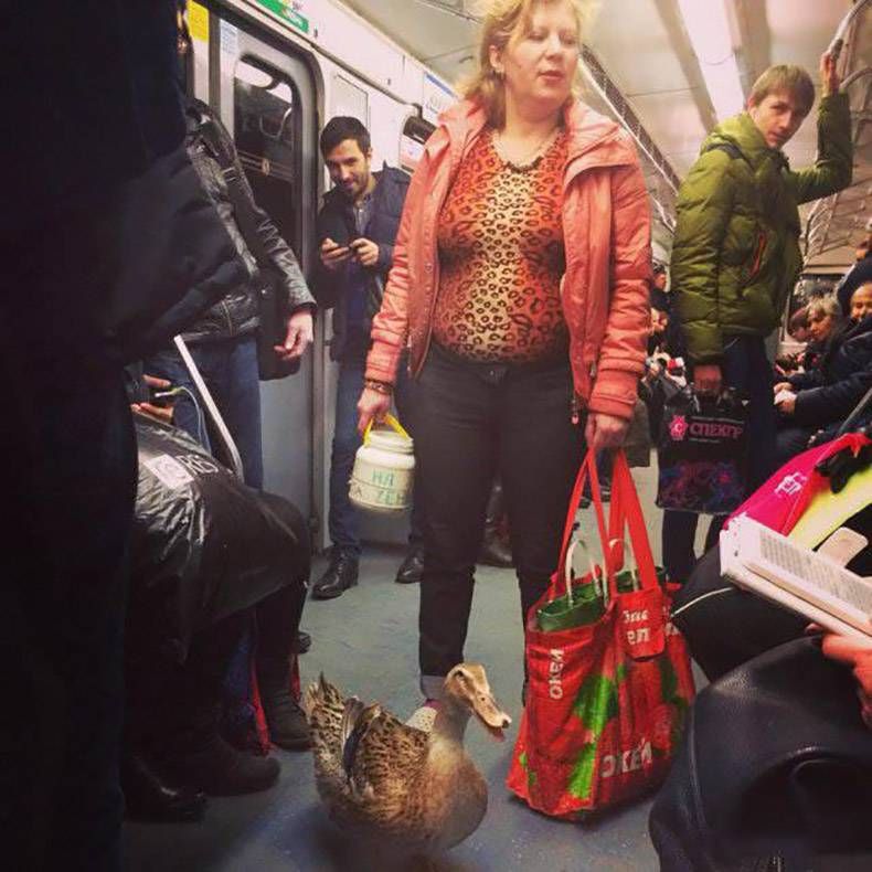 Gewoon een verzameling hilarische foto's #863