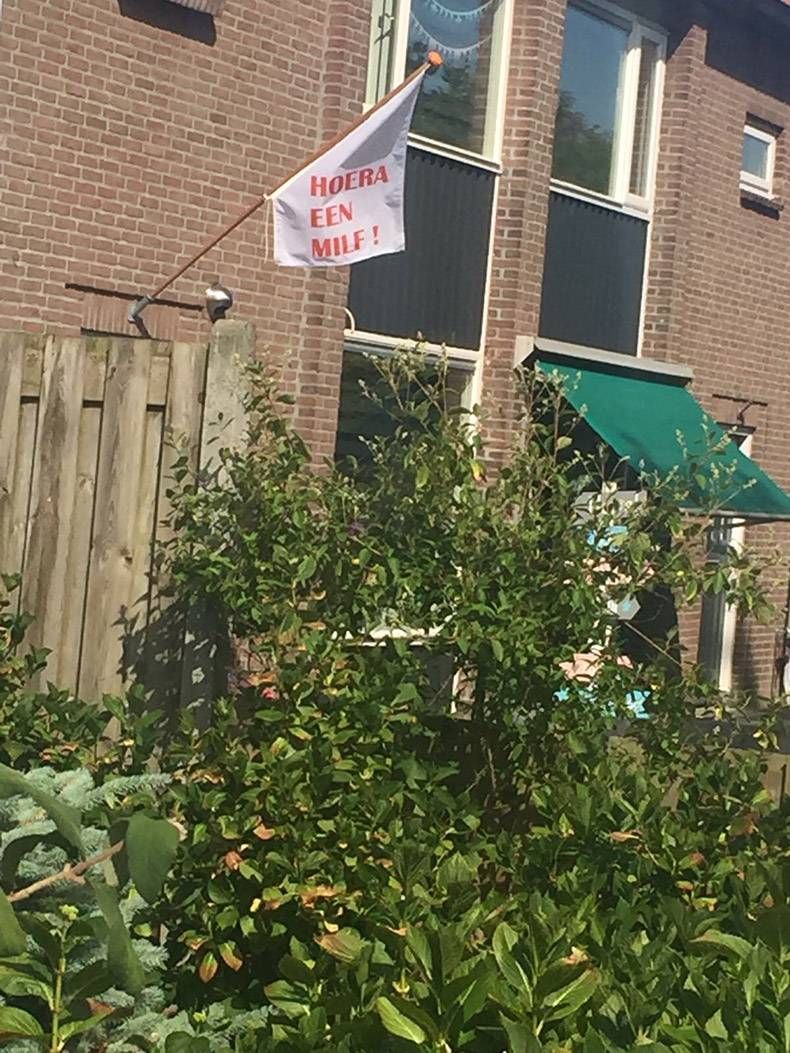 Gewoon een verzameling hilarische foto's #823