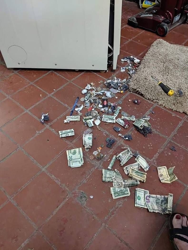 Gewoon een verzameling hilarische foto’s #1364