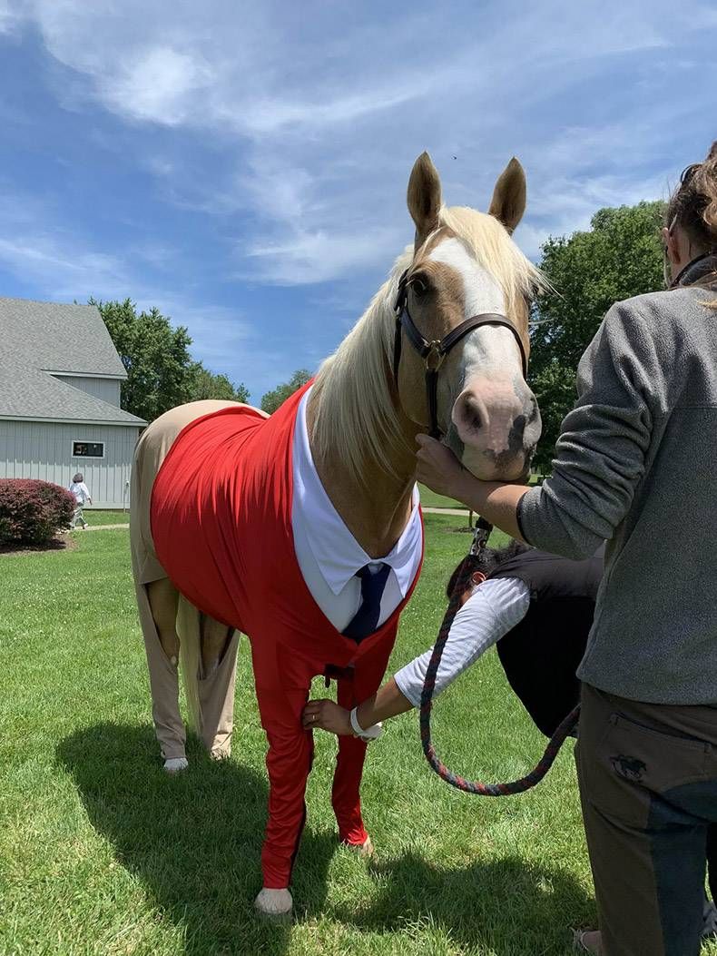 Gewoon een verzameling hilarische foto's #1152