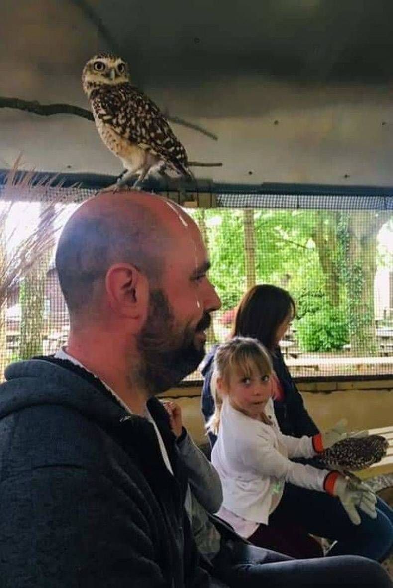 Gewoon een verzameling hilarische foto's #1129