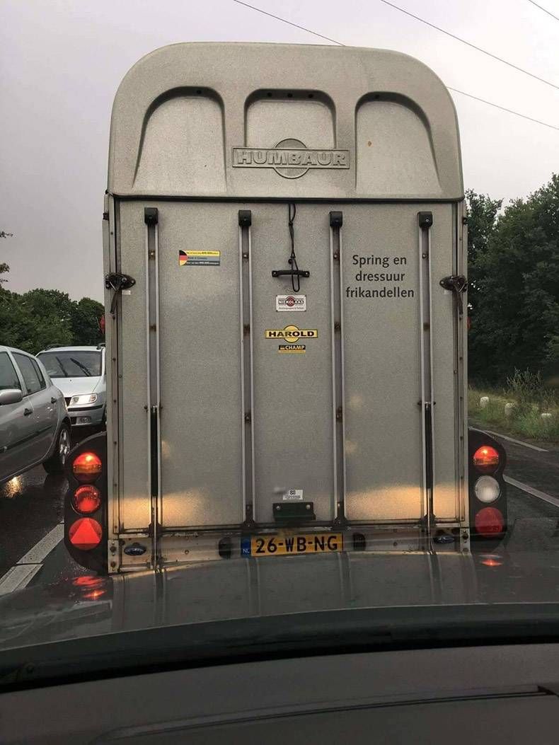 Gewoon een verzameling hilarische foto's #895