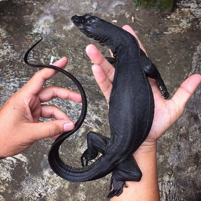 Gewoon een verzameling hilarische foto’s #858