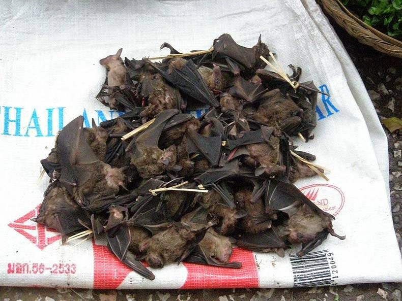 Gewoon een verzameling hilarische foto's #828