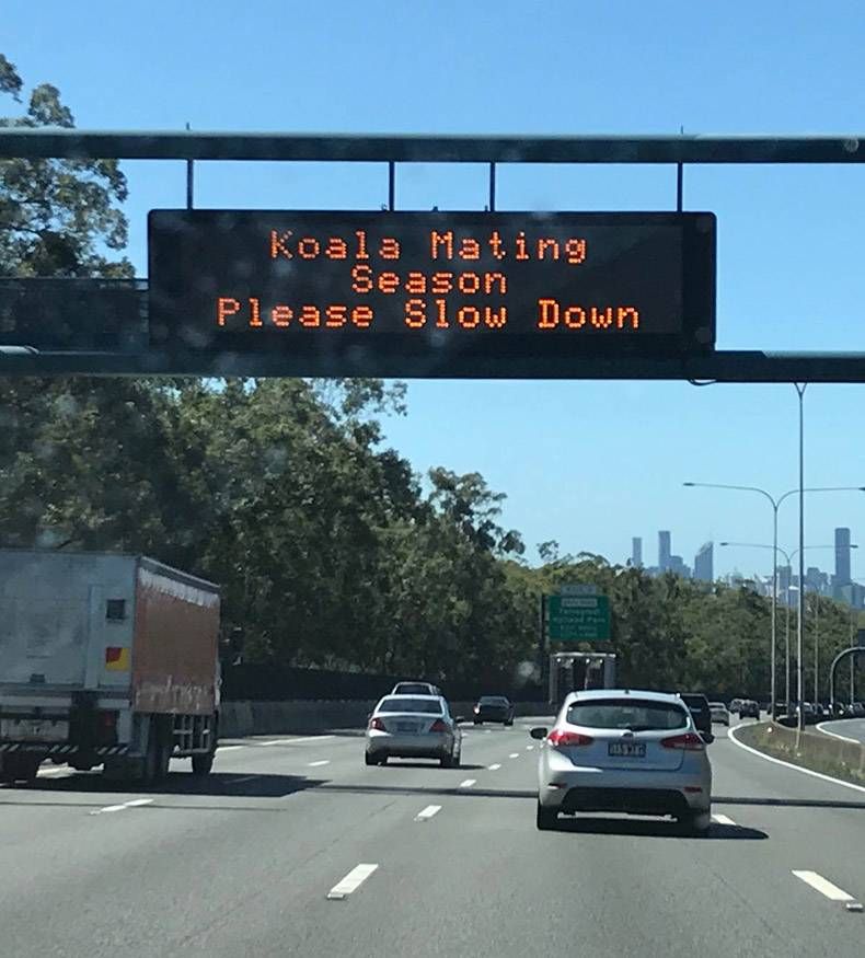 Gewoon een verzameling hilarische foto’s #1370