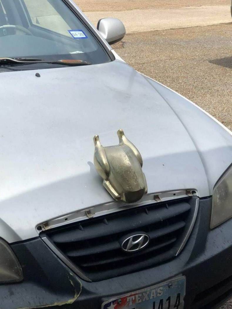 Gewoon een verzameling hilarische foto's #1255