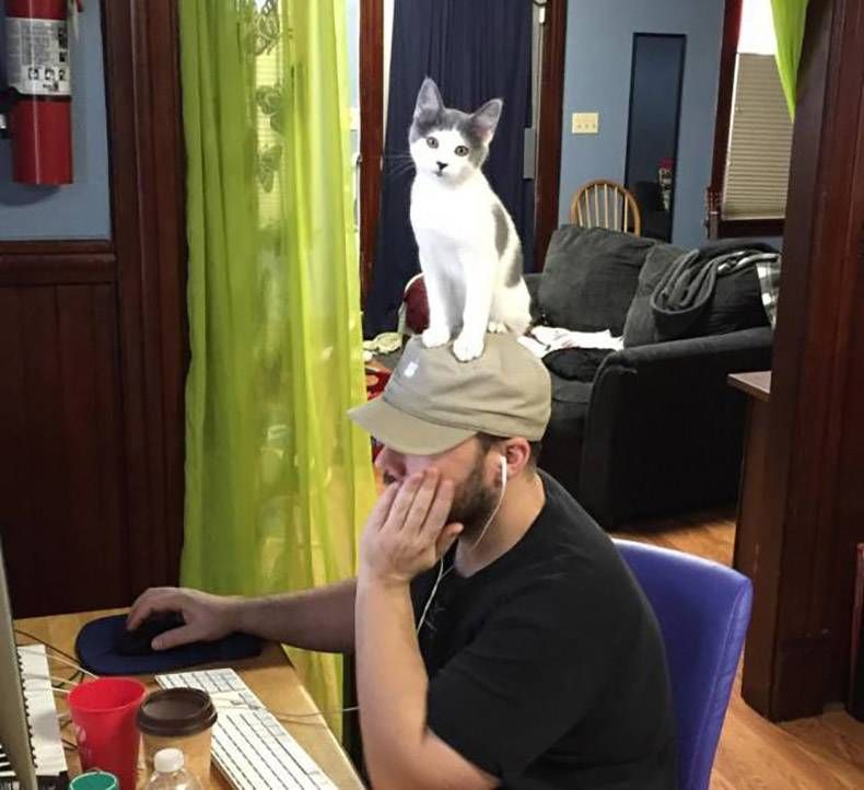 Gewoon een verzameling hilarische foto's #984
