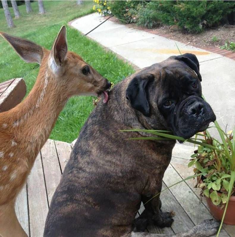 Gewoon een verzameling hilarische foto's #967