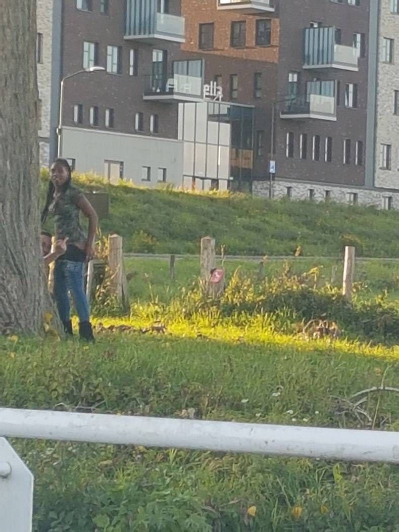 Gewoon een verzameling hilarische foto's #871