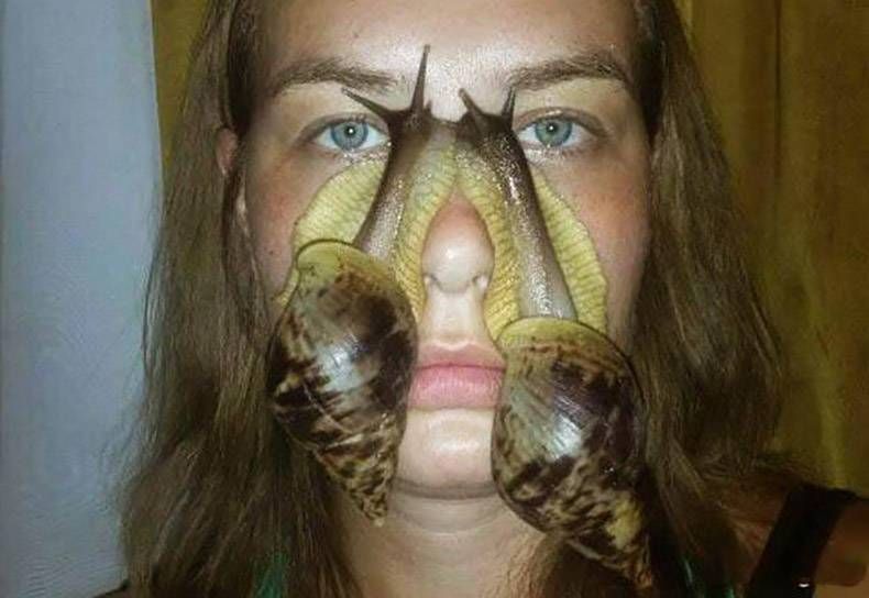 Gewoon een verzameling hilarische foto's #863