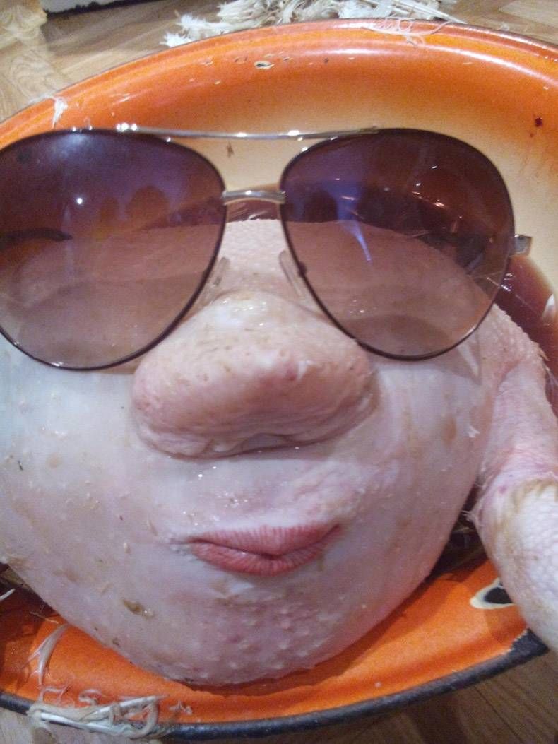 Gewoon een verzameling hilarische foto's #820