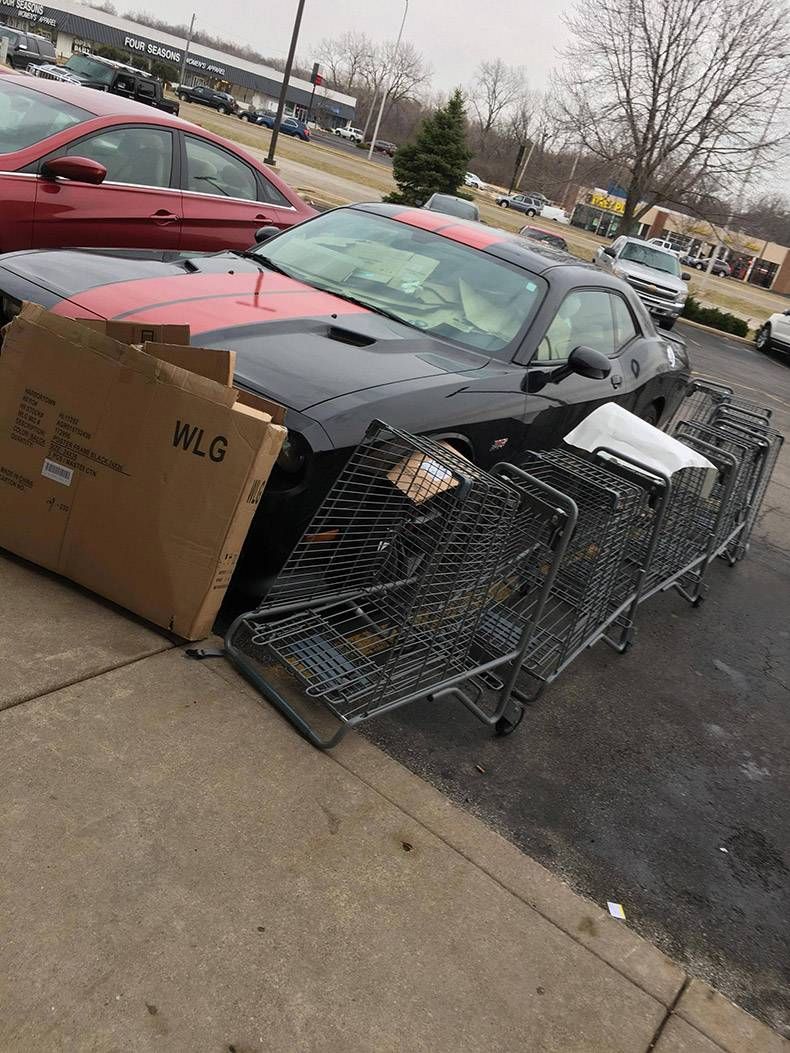 Gewoon een verzameling hilarische foto's #782