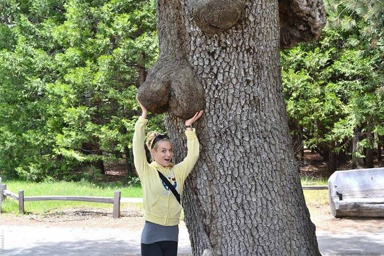 Gewoon een verzameling hilarische foto's #933