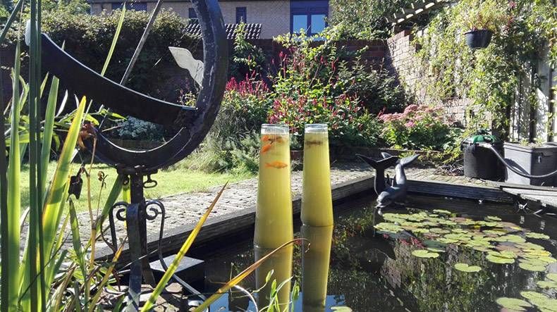 Gewoon een verzameling hilarische foto's #871