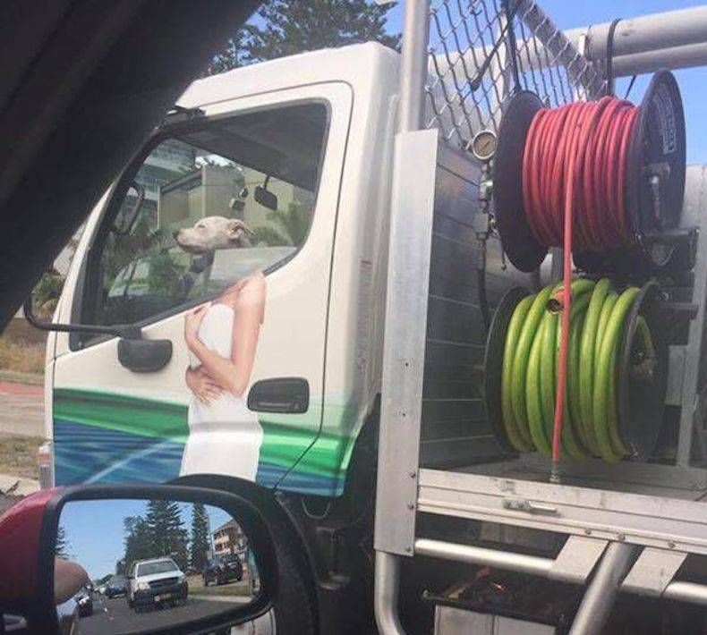 Gewoon een verzameling hilarische foto's #745