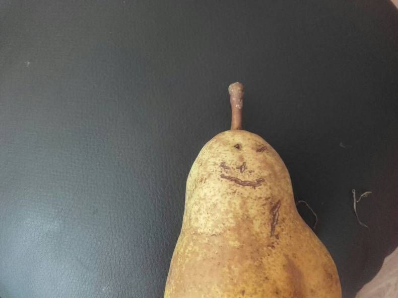 Gewoon een verzameling hilarische foto's #728