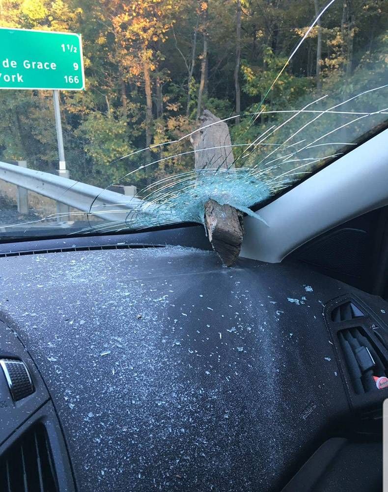 Gewoon een verzameling hilarische foto's #1222