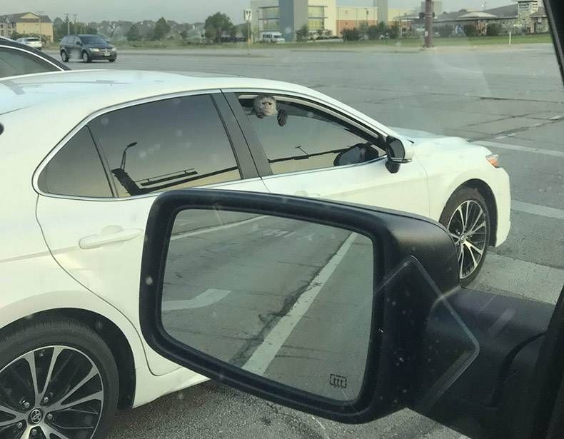 Gewoon een verzameling hilarische foto's #1152