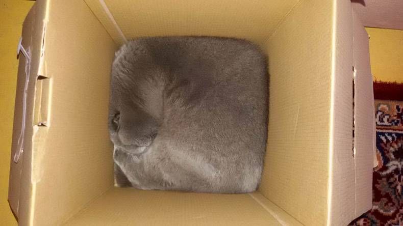 Gewoon een verzameling hilarische foto's #1089