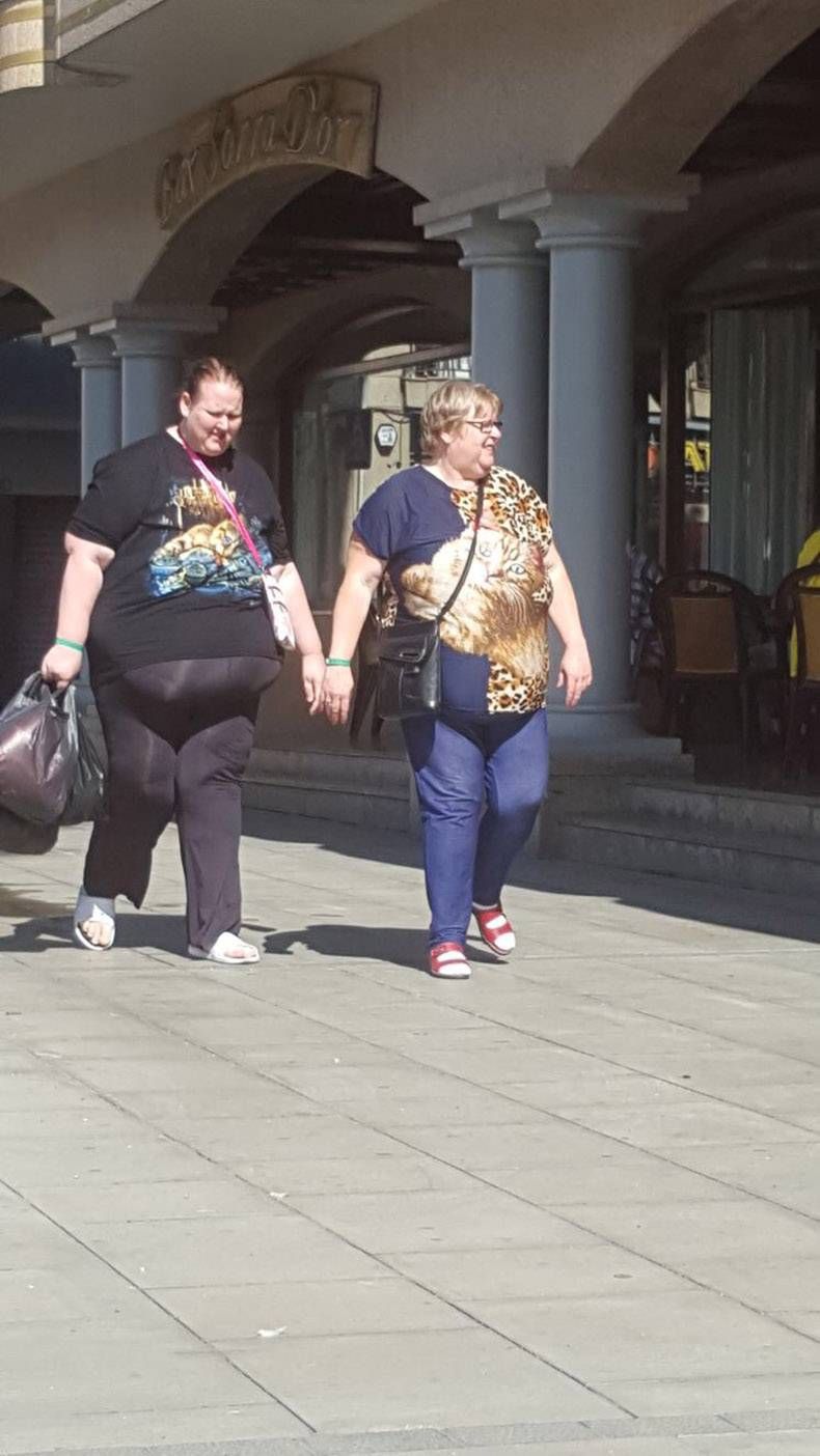 Gewoon een verzameling hilarische foto's #874