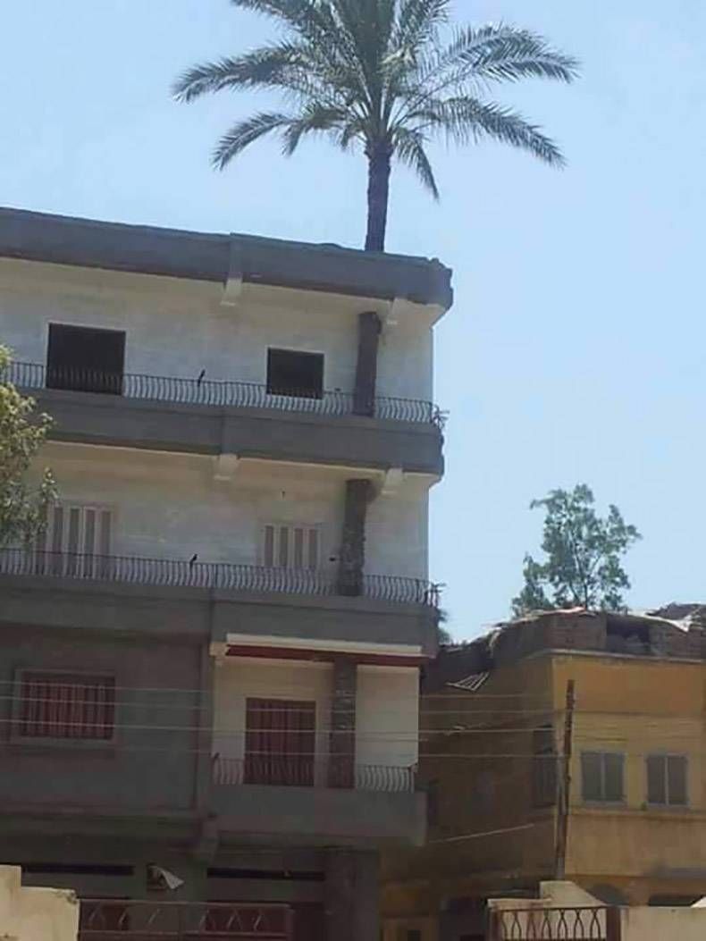 Gewoon een verzameling hilarische foto's #862