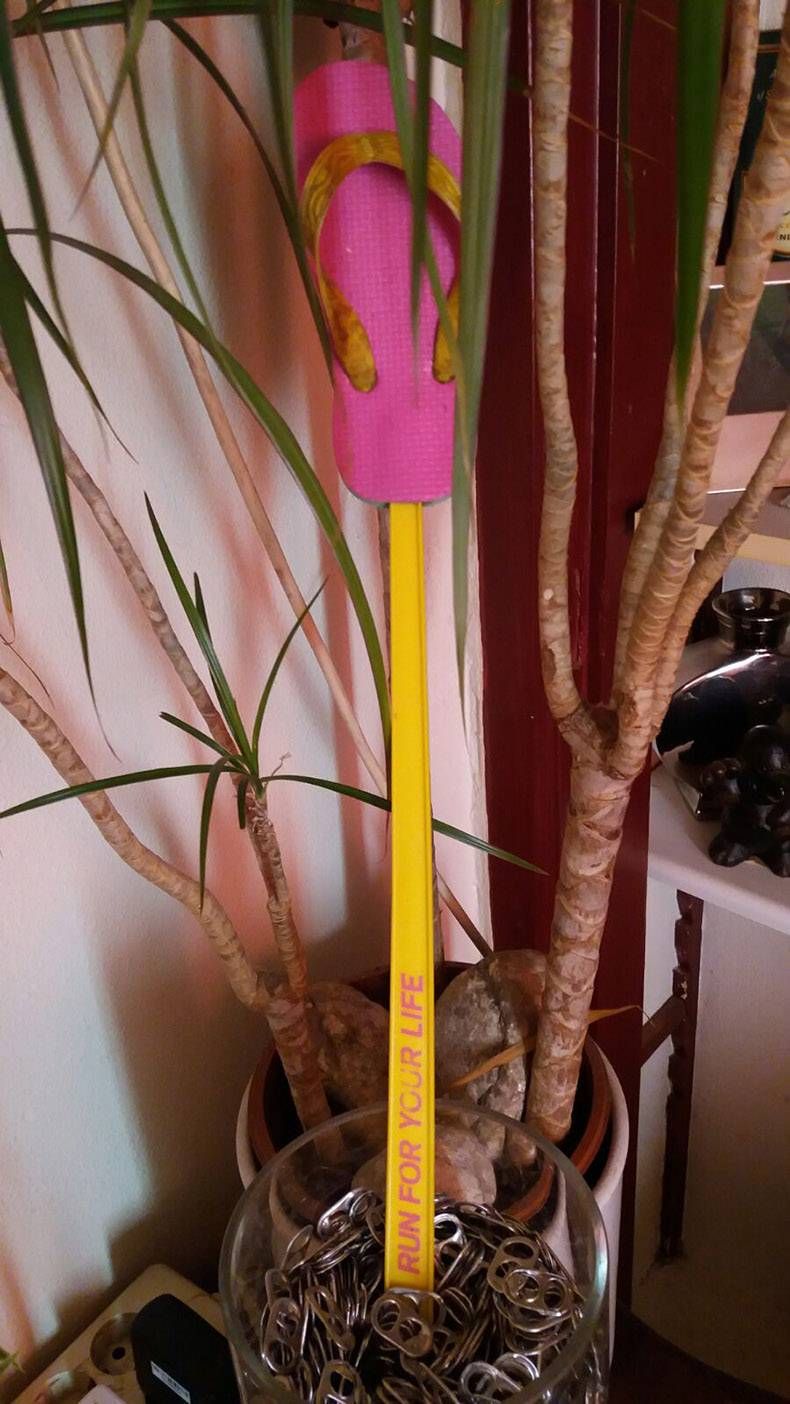 Gewoon een verzameling hilarische foto's #762