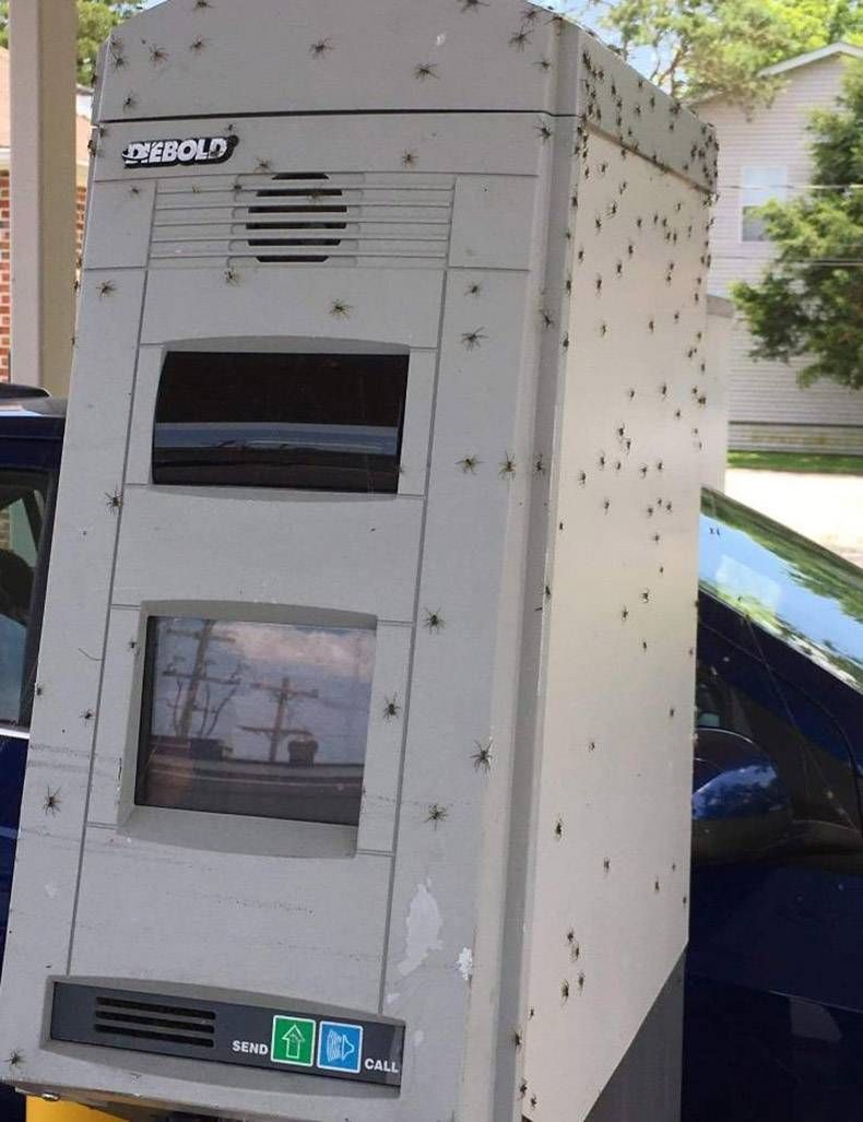 Gewoon een verzameling hilarische foto's #1139