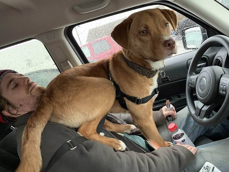 Gewoon een verzameling hilarische foto's #1096