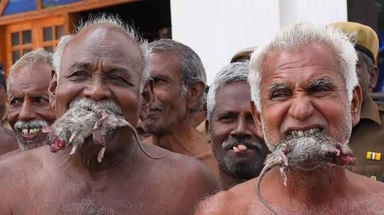 Gewoon een verzameling hilarische foto’s #847